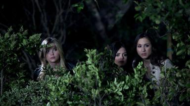 Lindas Mentirosas 2x3