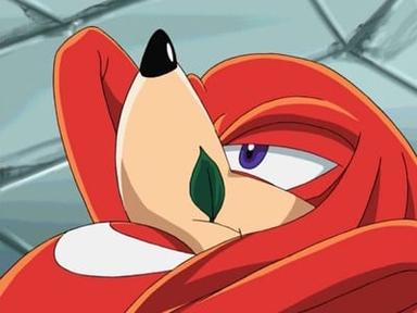 Sonic X 1x17
