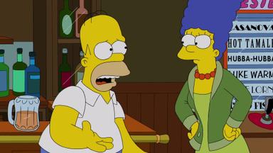 Los Simpson 24x19