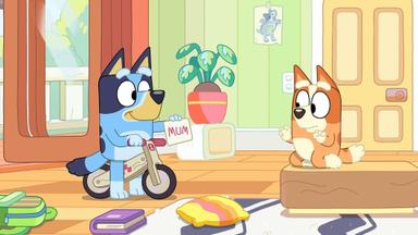 Bluey 2x36