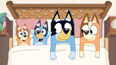 Bluey 2x48
