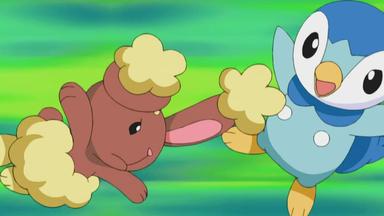 Pokémon 10x9