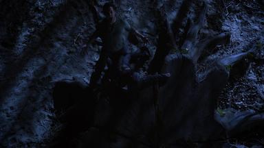 Lobo Adolescente 3x12