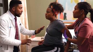 New Amsterdam 5x9