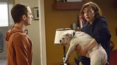 Wilfred 3x11