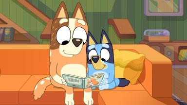 Bluey 3x8