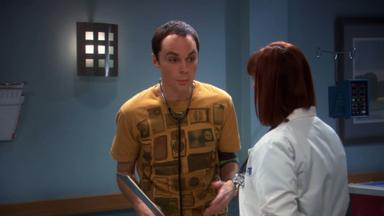 La Teoría del Big Bang 2x10