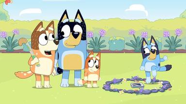 Bluey 1x30