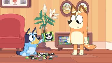 Bluey 3x4