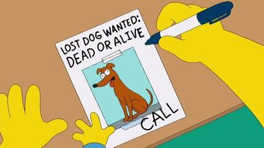 Los Simpson 24x8