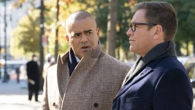 Bull 6x9