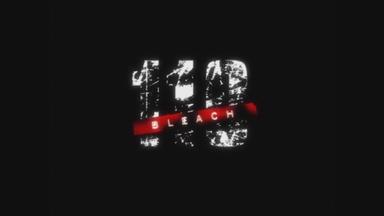 Bleach 1x110