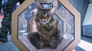 Star Trek: Discovery 4x6