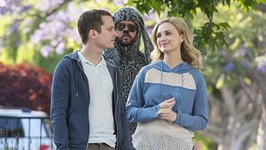 Wilfred 3x12