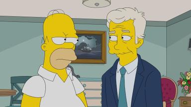 Los Simpson 32x21