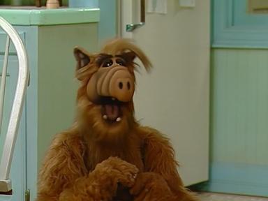 ALF 1x19