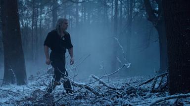 The Witcher 2x4