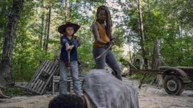 The Walking Dead 10x8