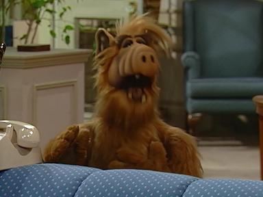 ALF 1x18