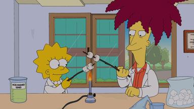 Los Simpson 25x13