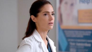 New Amsterdam 5x7