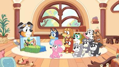 Bluey 1x17