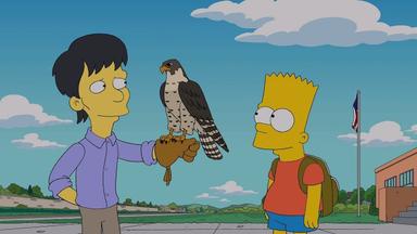 Los Simpson 25x12