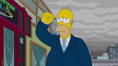 Los Simpson 24x17