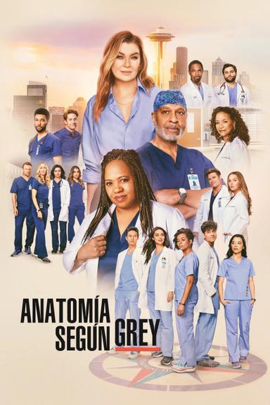 Anatomía según Grey