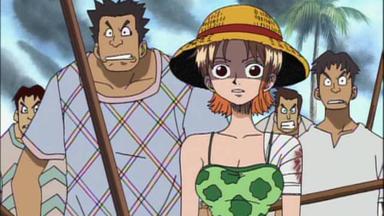 One Piece 1x41