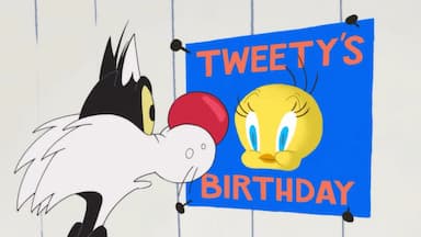 Looney Tunes Cartoons 3x4