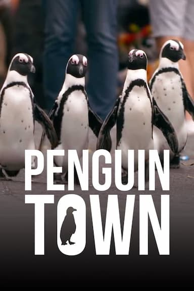 Colonia Pingüino